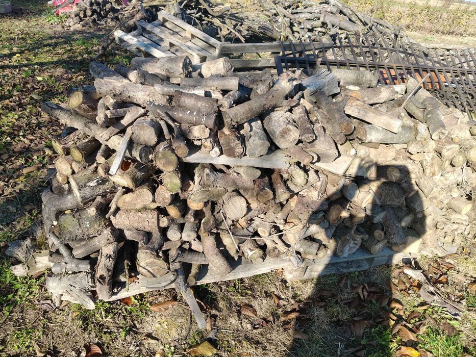 DREWNO OPAŁOWE – jabłoń, czereśnia – gotowe do palenia