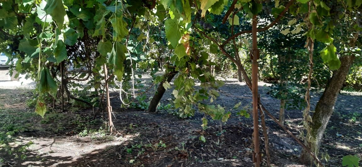 Продам будинок в місті Богуслав