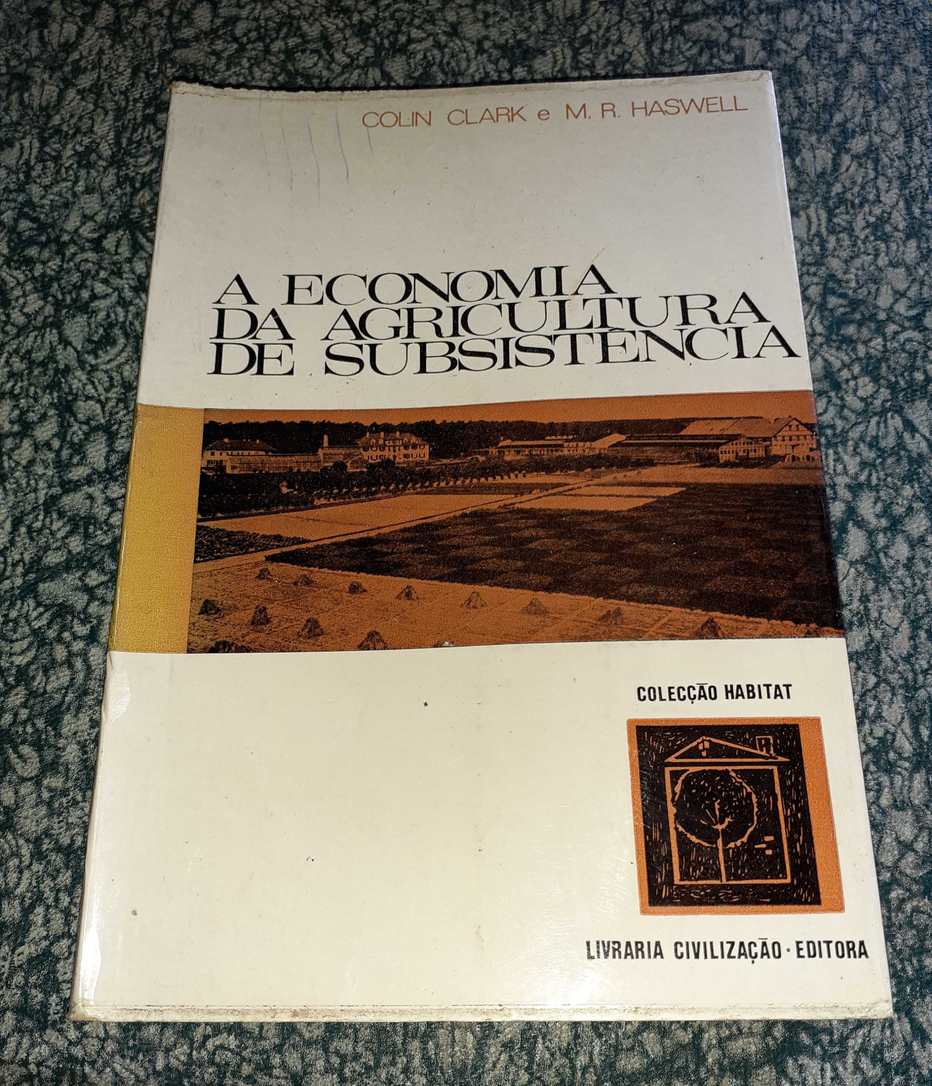 A Economia da Agricultura da Subsistência