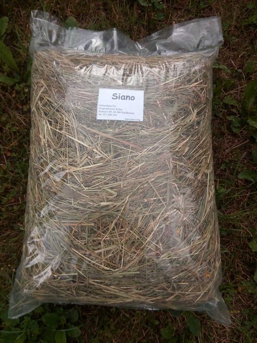 Siano dla gryzoni