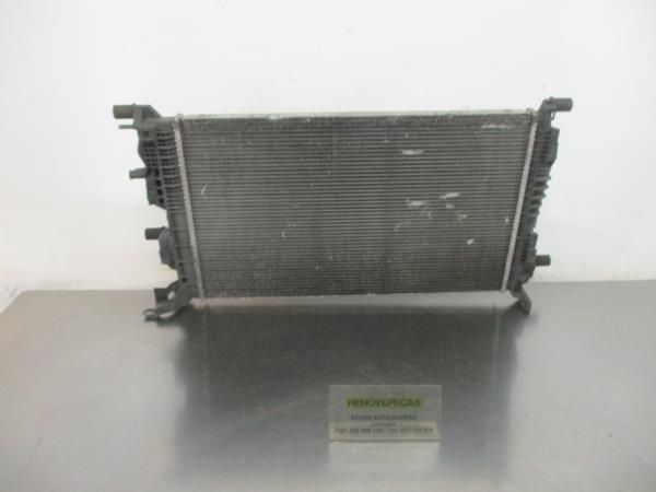 Radiador de água RENAULT Scénic III (JZ0/1_)