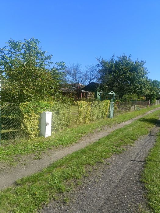 Sprzedam działkę ROD PIAST z altanką i nasadzeniami