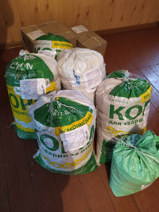 Жолудь дуба черешчатого митий