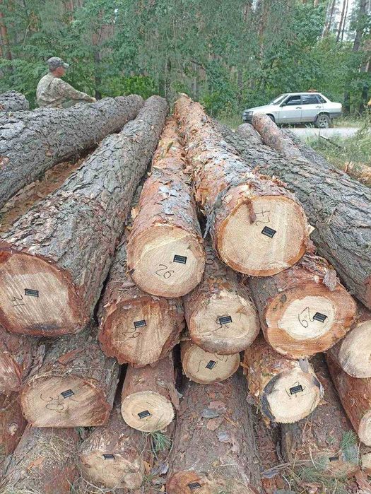 Сосновый кругляк 4-6м сорт С — доставка Харьков и область