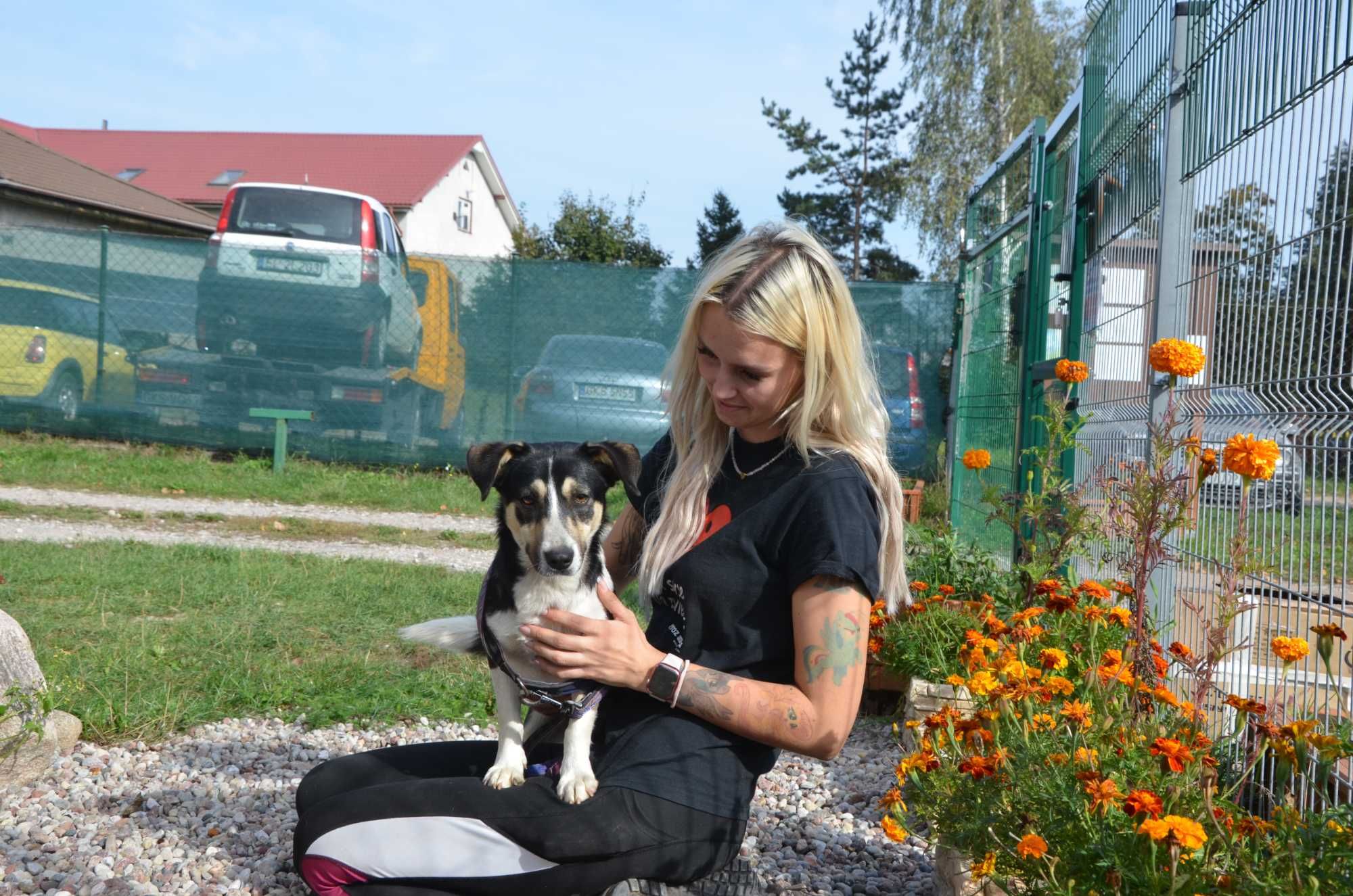 Tuptuś - ma 10 miesięcy - szuka domu