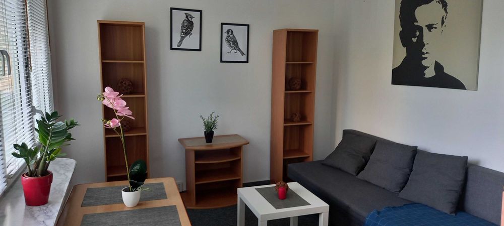 Wynajmę przytulne mieszkanie 2-pokojowe – LSM, Lublin