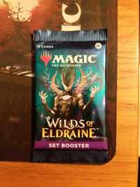Wilds of Eldraine Set Booster