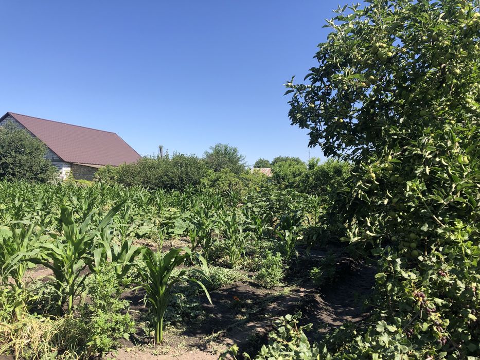 Ділянка/участок 15сот в с.Яськи 45км від Одеси