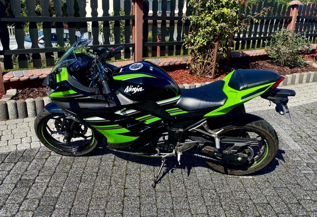 Kawasaki Ninja 300