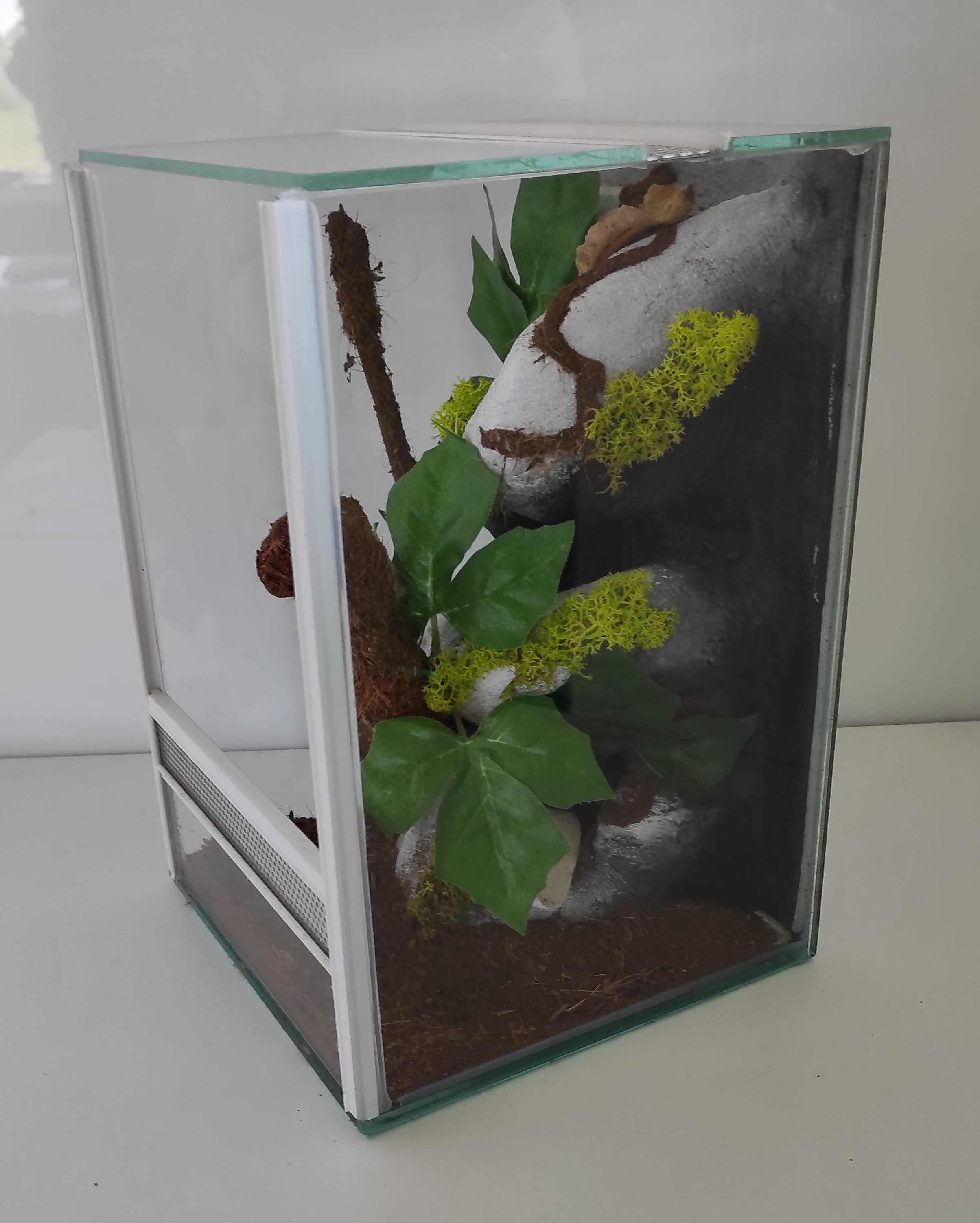 Terrarium dla ptasznika, pająka, TW12KTP, AquaWaves