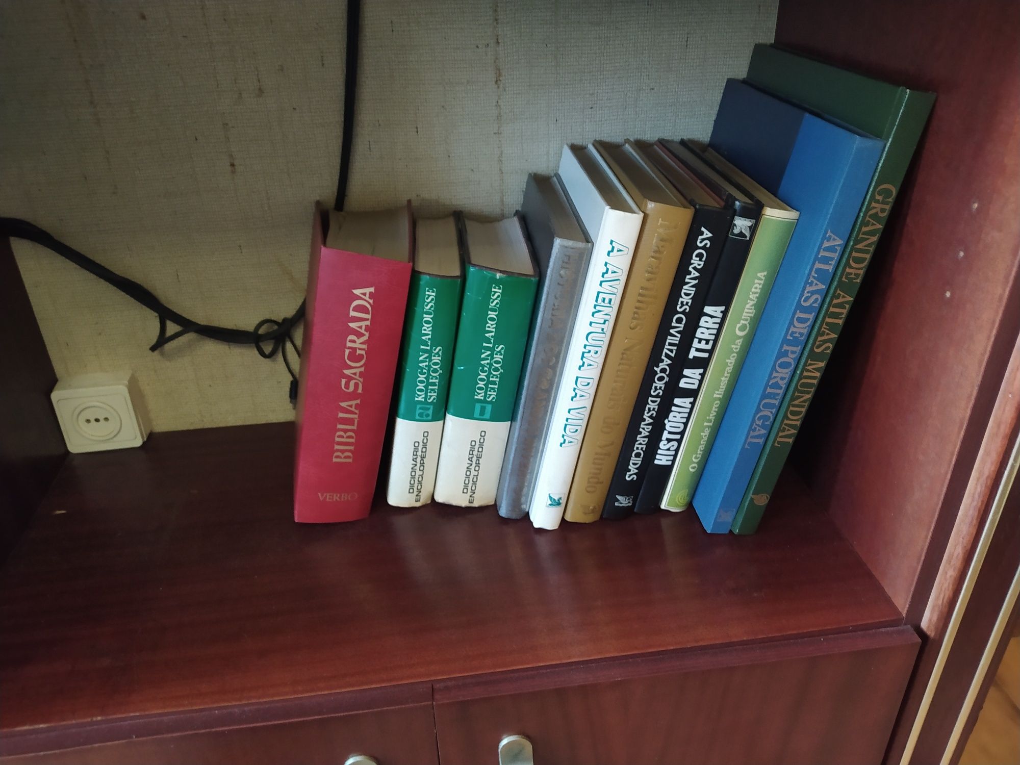 Enciclopédias e vários livros