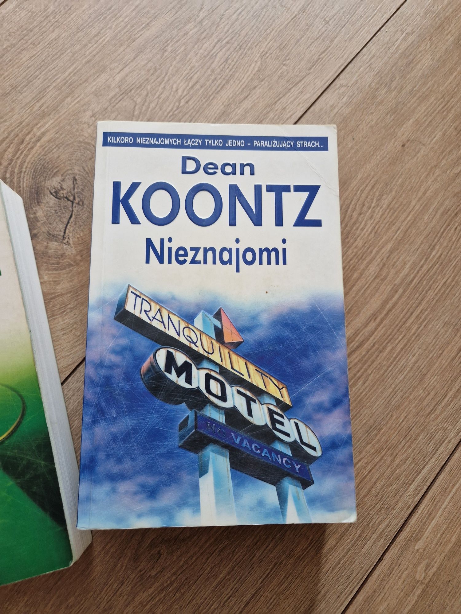 Dean Koontz Dobry zabójca,  nieznajomi