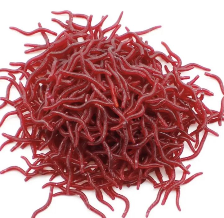 Чевряки для риболовлі 100 шт 4 см рыбалка приманка красные черви улов