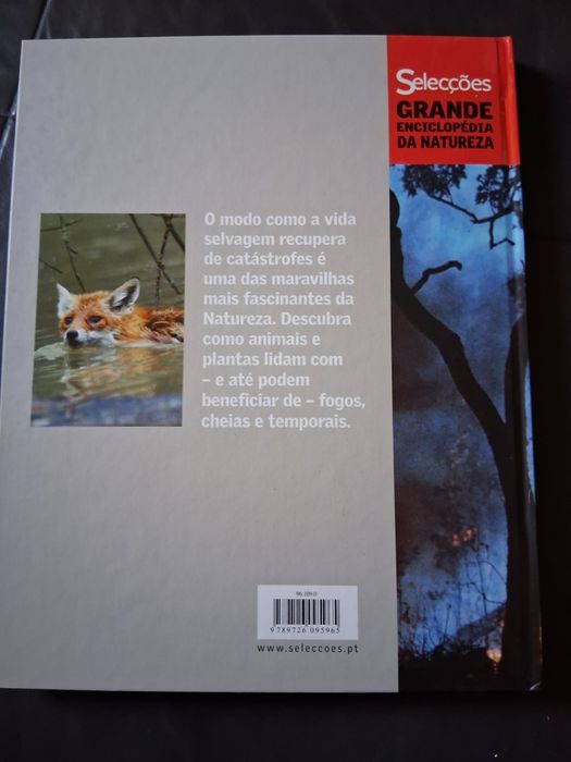 Livro NOVO Sobreviver a Catástrofes