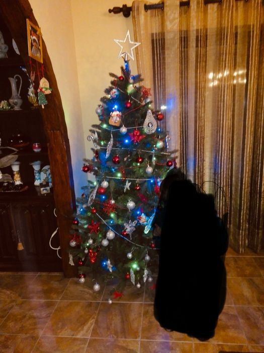 Arvore de ntal como nova com 180cm