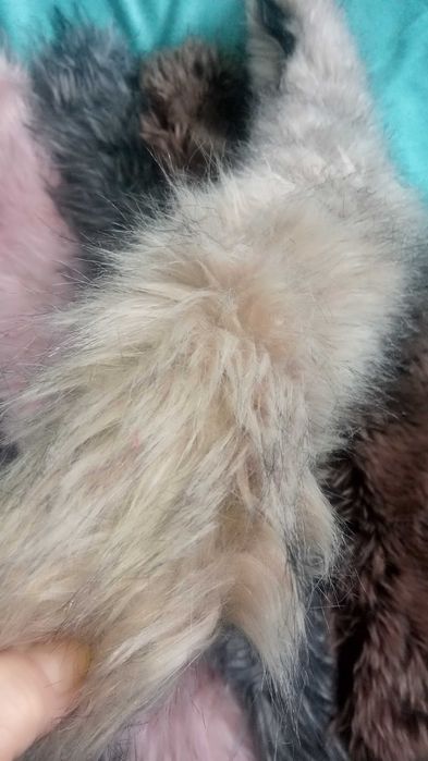 Piękne futerka do przypięcia lub obszycia kaptura kurtki