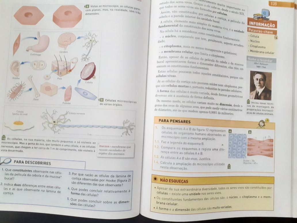 Manual e caderno de atividades Magia da Terra - Ciências 5º ano