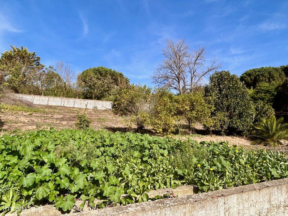 Magnifico lote  urbano de 2007,62 m2, com vistas deslumbrantes em Gala