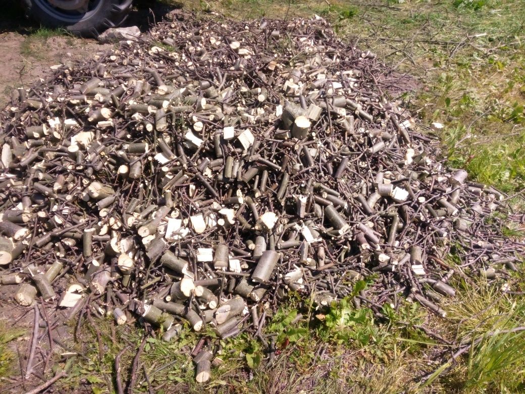 Zrębka, drewno, opał do kominka pieca.