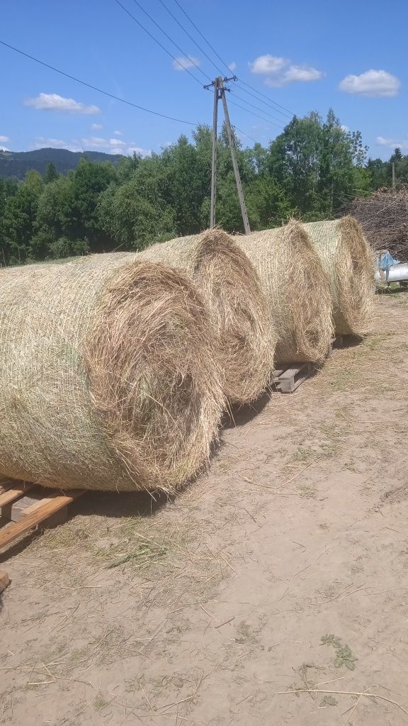 Bale siana 2025 rok