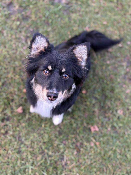 Bolus potrzebuje rodziny