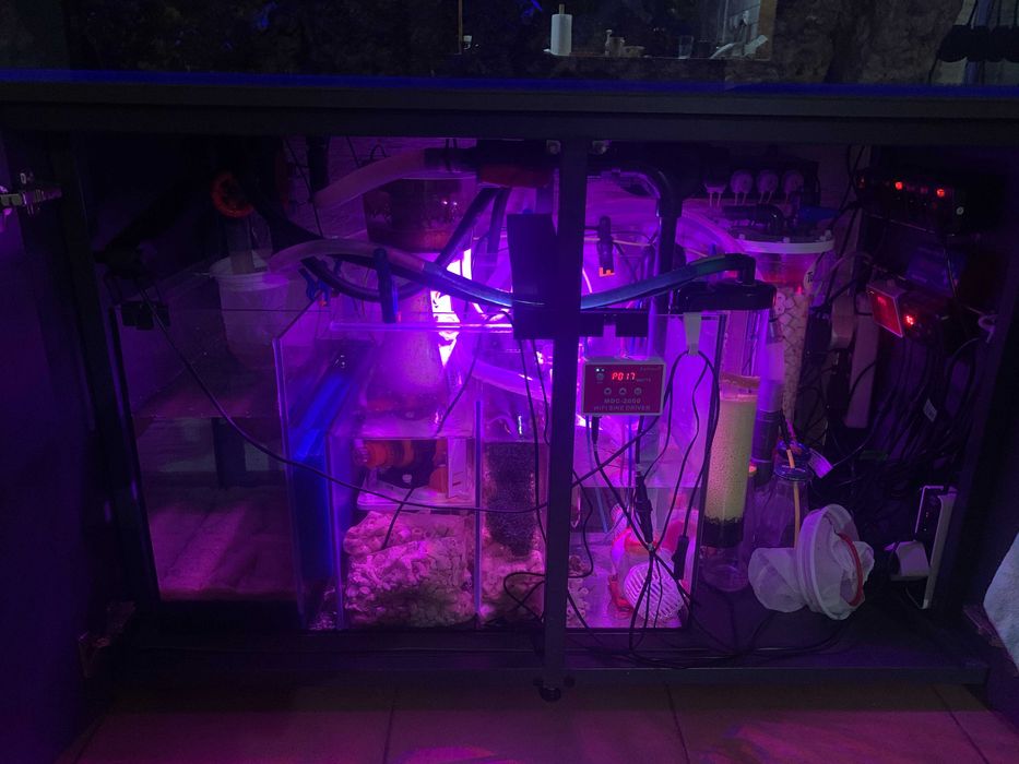 Akwarium morskie 500l optiwhite, szafka, sump, lampy, full osprzęt