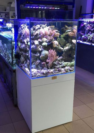 Akwarium - Zestaw Deep Ocean Reef 75/75/75 cm 421,8 L CUBE
