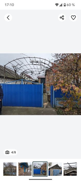 Будинок с.Придніпровське центр