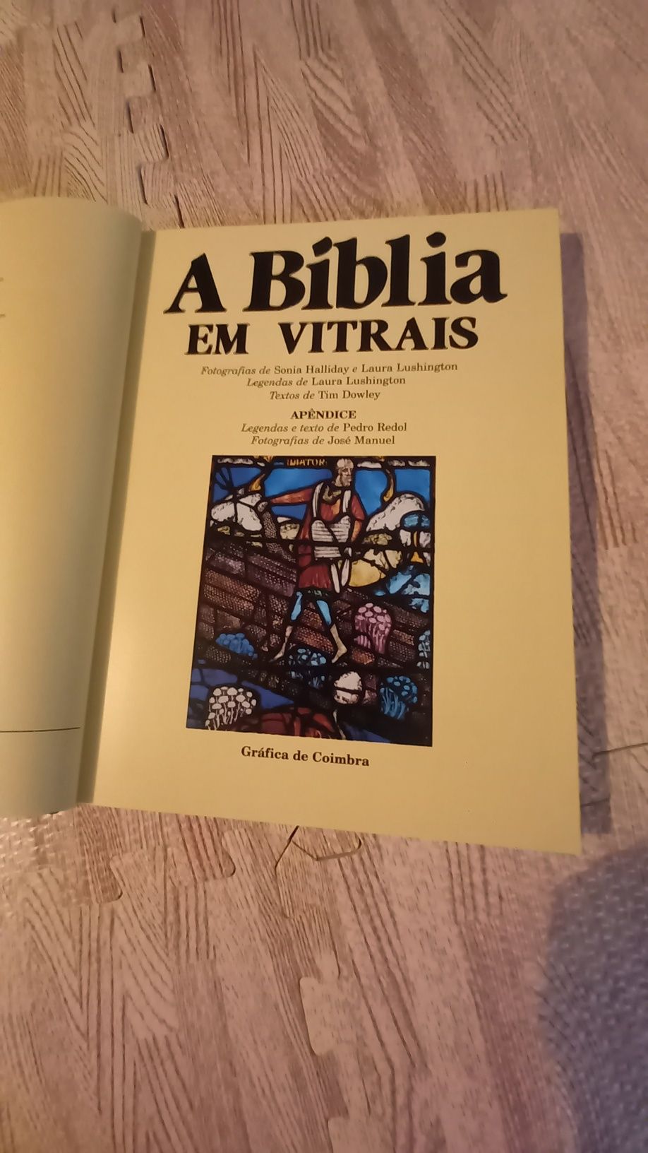 Biblia em vitrais.