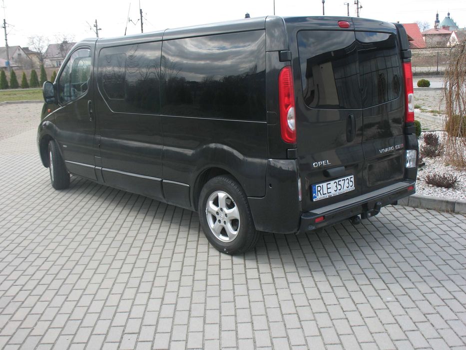 Bus Transport Okolicznościowy Licencja