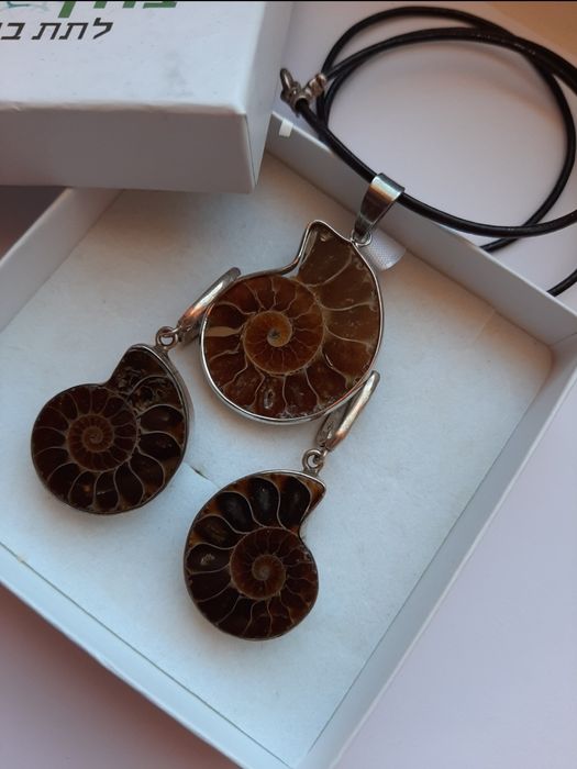 Аммонит украшения
