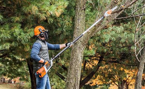 Podkrzesywarka STIHL wynajem WYPOŻYCZALNIA pilarka piła na wysięgniku