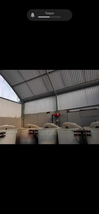 Estufa agricola de hidroponia