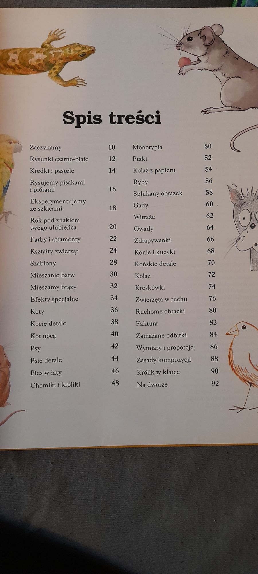 Jak rysować  i malować  ZWIERZĘTA.   Diana Craig