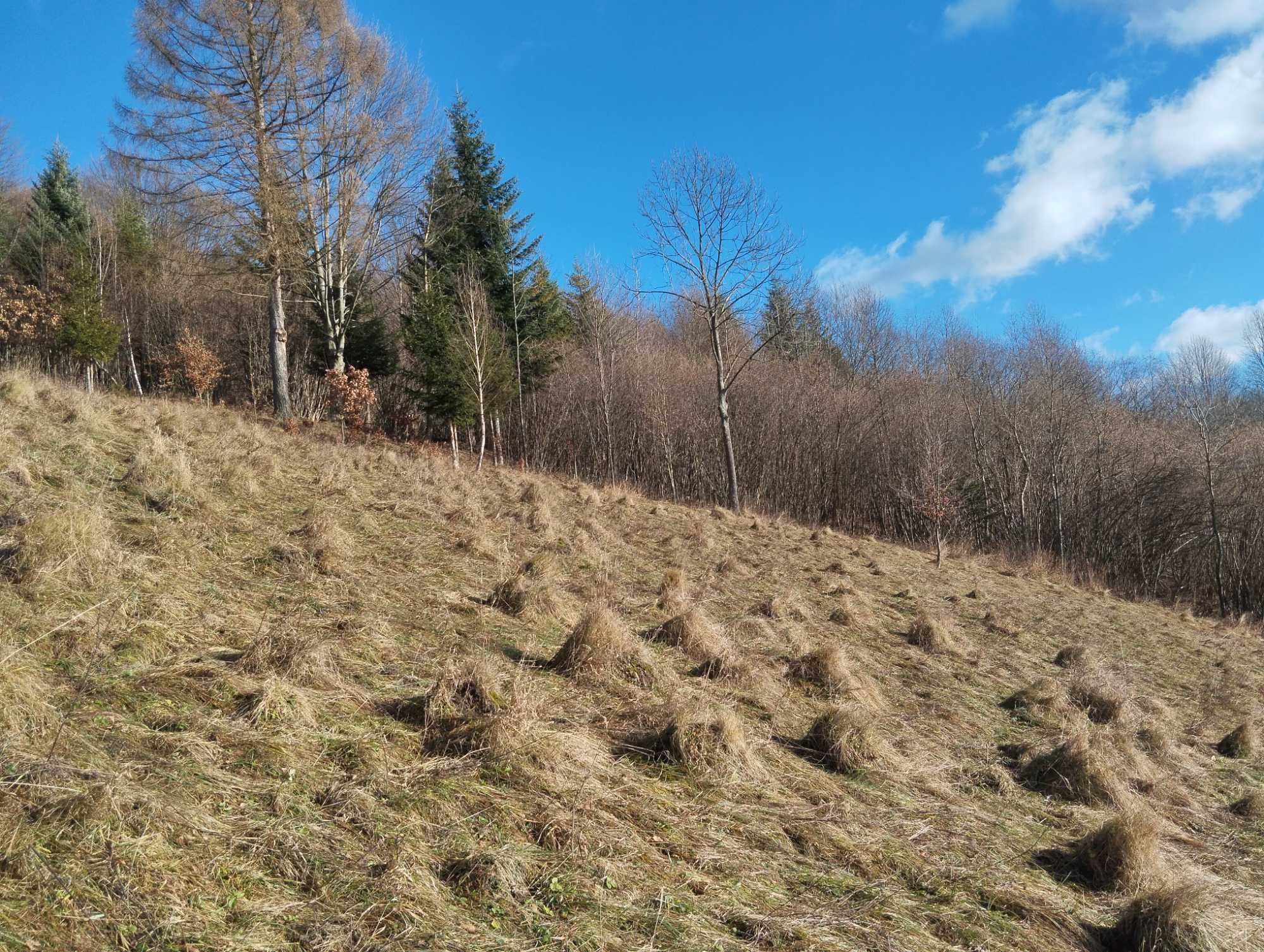 Działka z widokiem na uzdrowisko Szczawnica