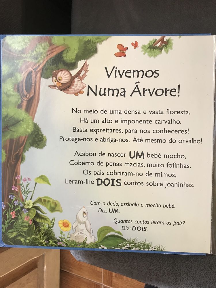 Livro Infantil Um desafio com Números