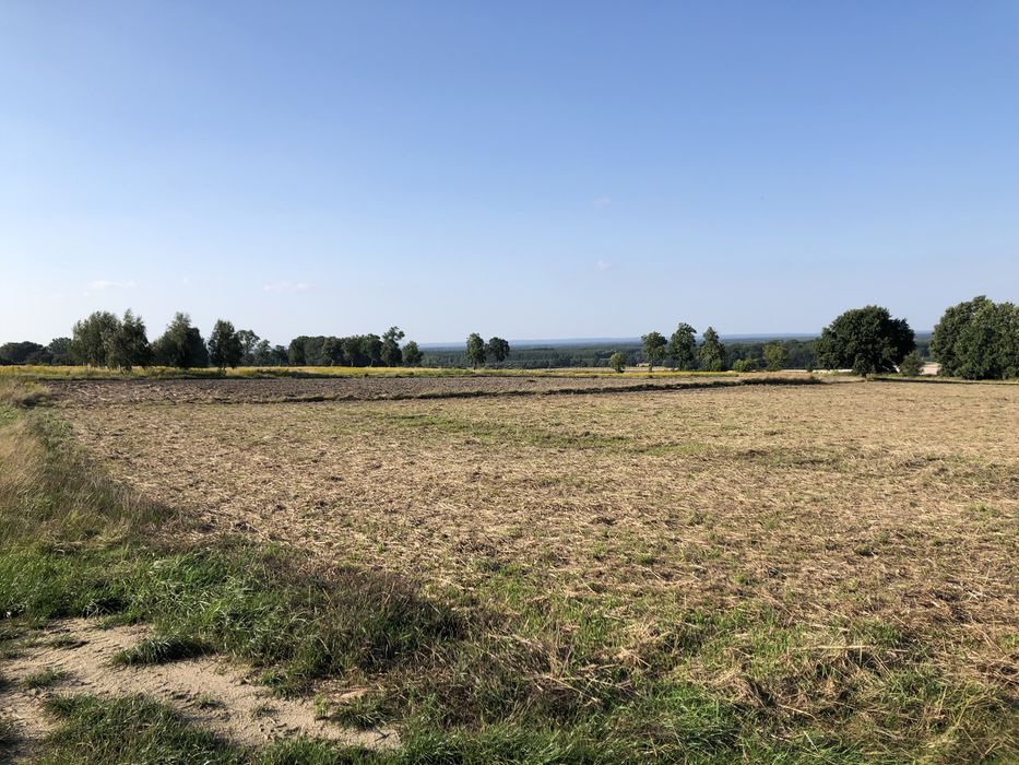 Sprzedam działki budowalane w Czciradzu