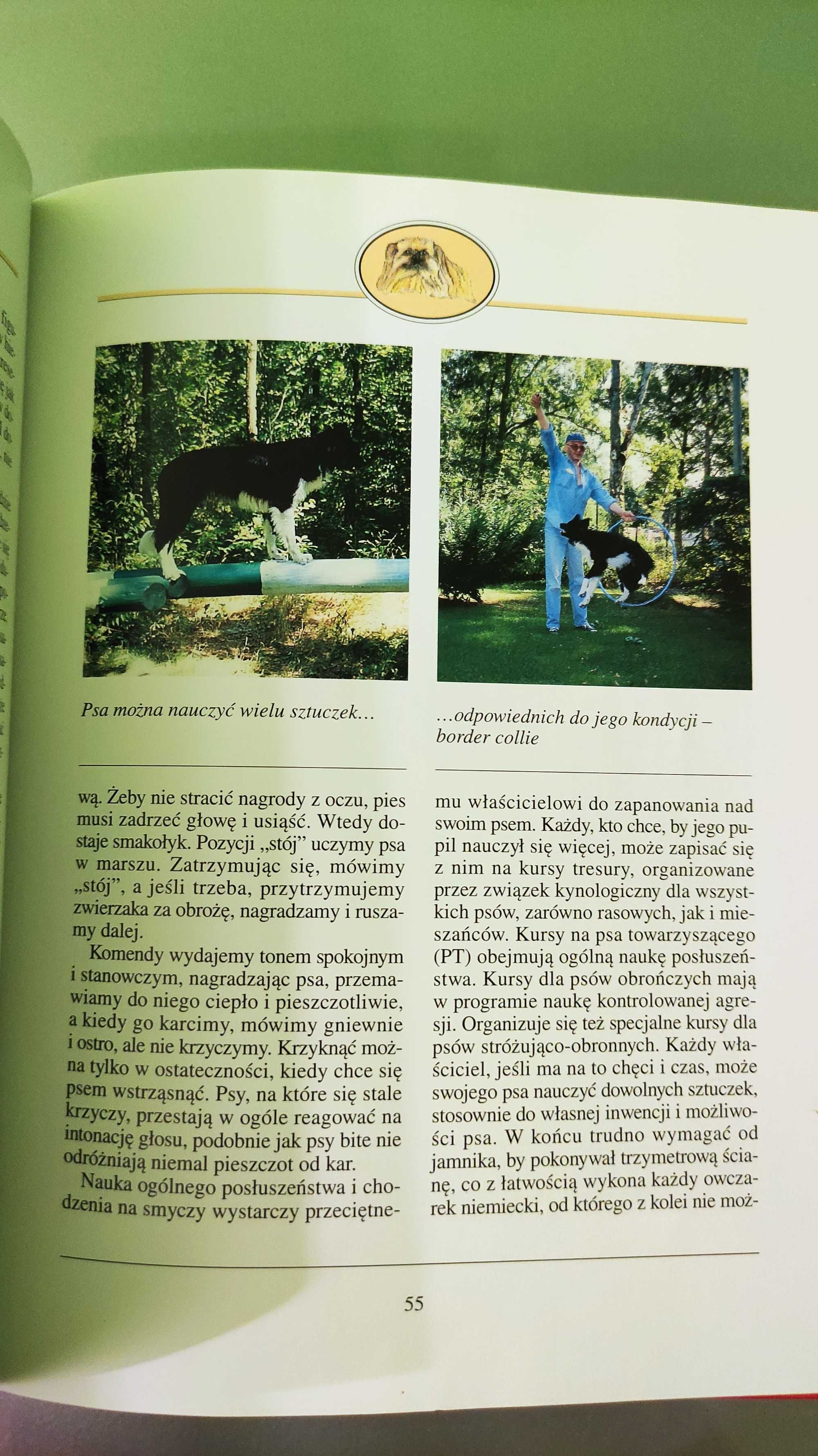 Pod jednym dachem z psem Anna Redlicka poradnik o psach czworonogi