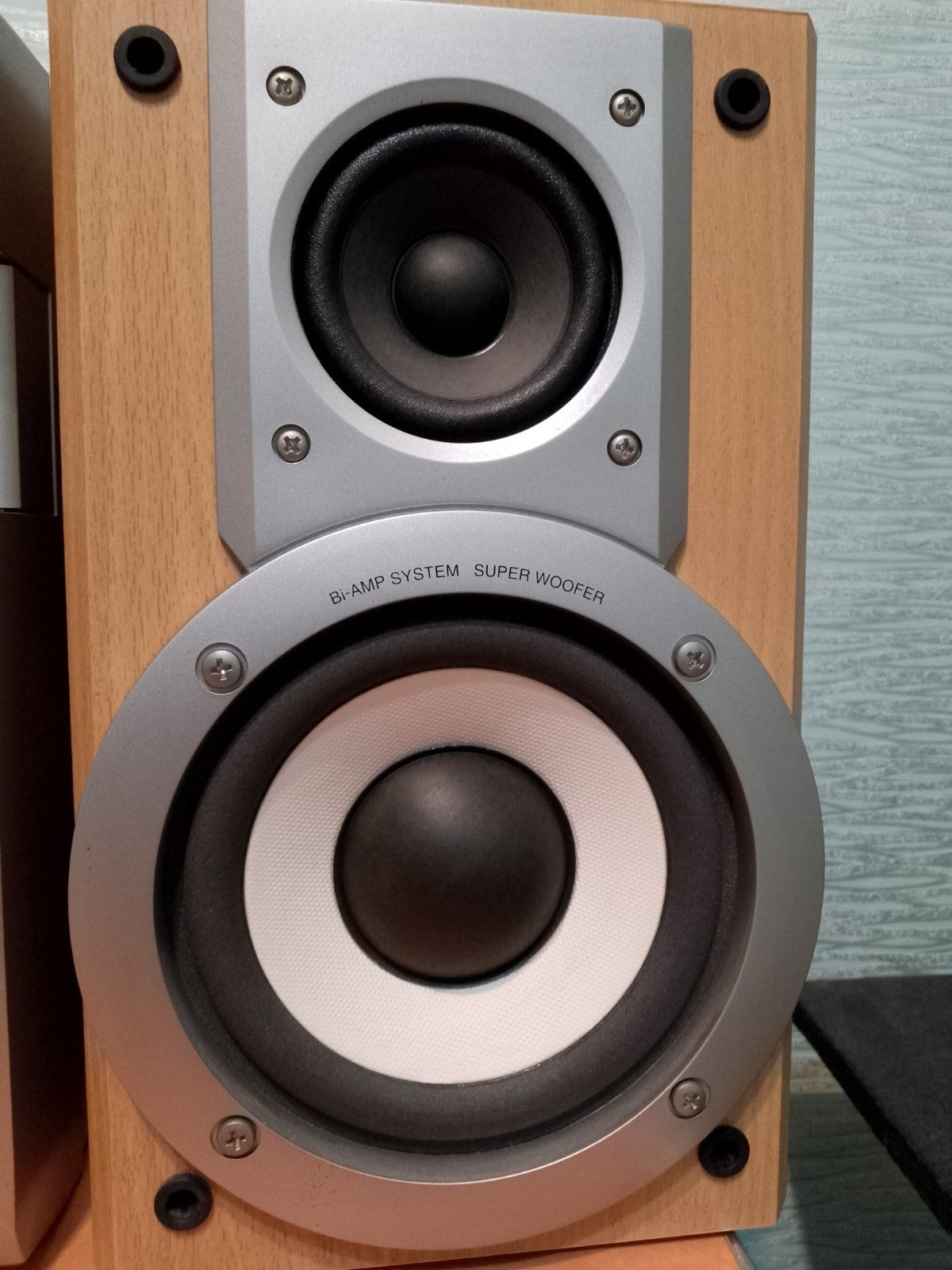 Panasonic sa pm22