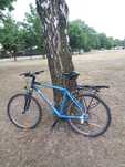 Rower Author basic 26"