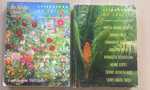 Literatura na świecie nr 10 / 95, 1,2/1999 Czasopismo