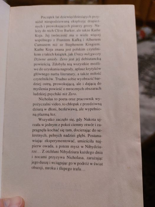 Zero Kathe Koja horror