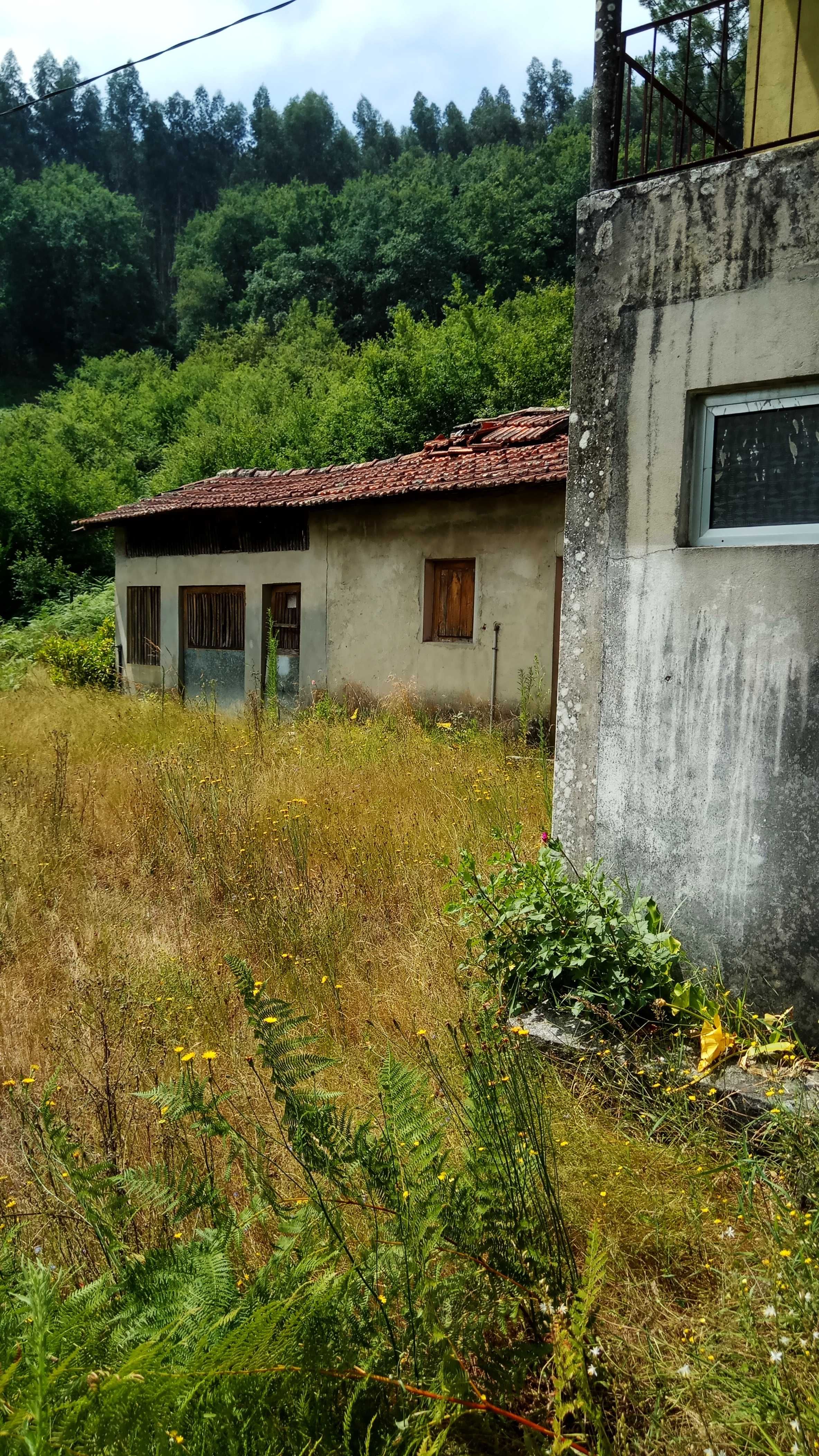 Moradia para reconstrução em Pombeiro com 6000m2