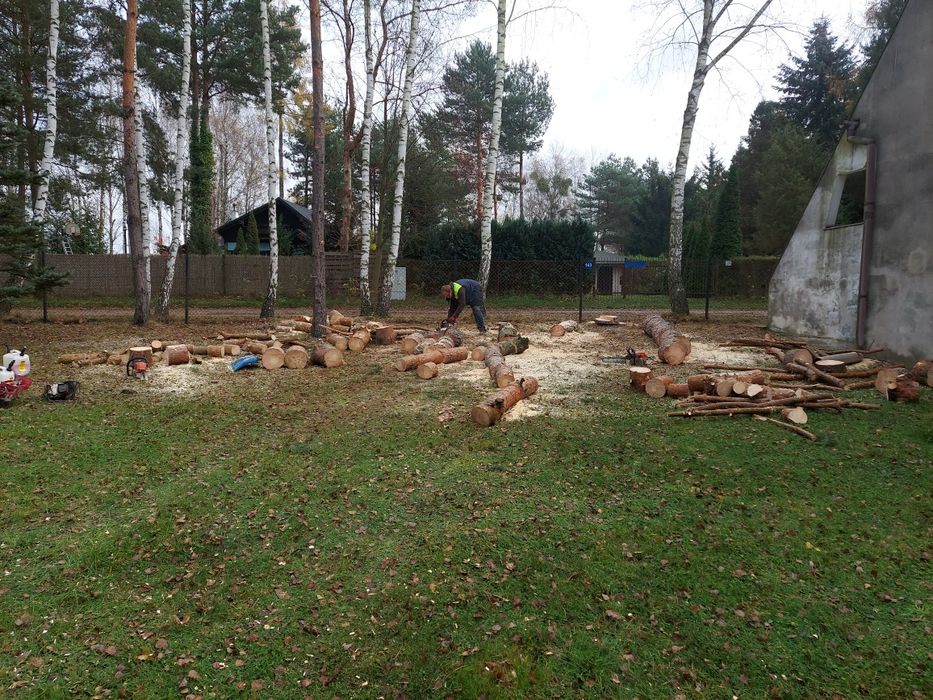 Wycinka drzew, wycinka drzewa, frezowanie pni, Rębak do gałęzi,