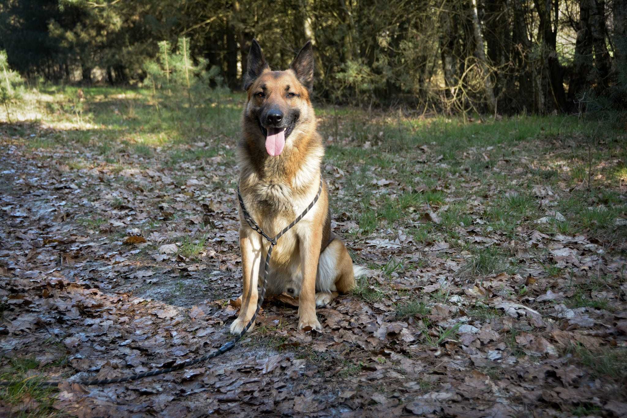 słowo strach gilbert zna doskonale, a czy pozna czym jest miłość?