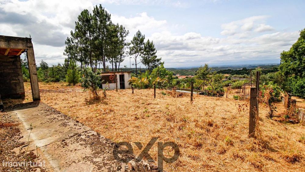Quinta, Tábua, Coimbra, Portugal