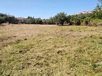 Limpeza de terrenos
