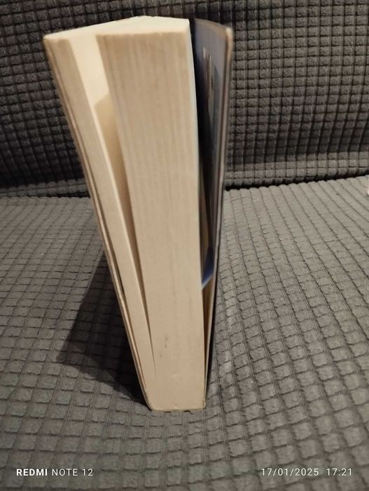 Uma Chuva de Diamantes - Steva Casati Modignani