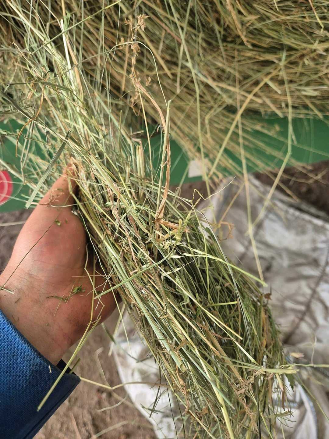Siano z łąk nieptaszkowych