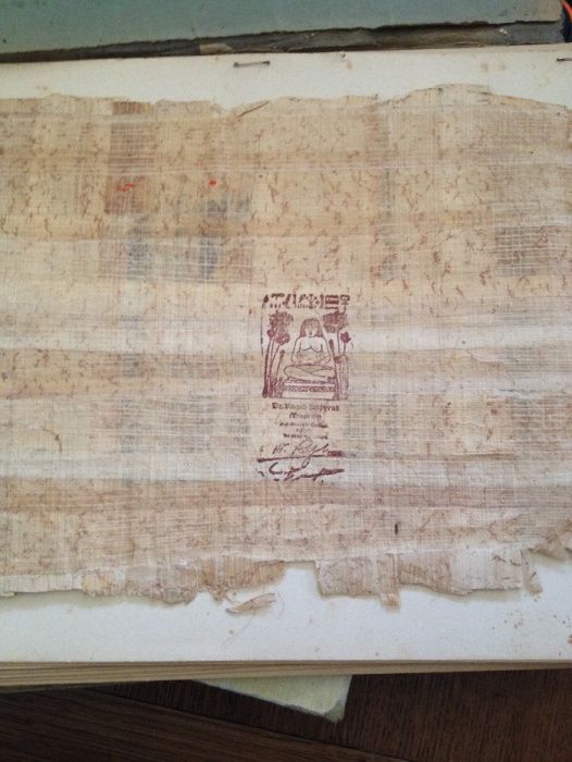 Papiro Egipcio em bom estado